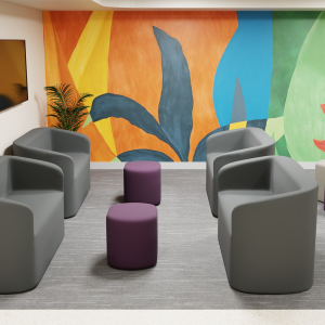 Anti-Ligature Furniture: #1 for Mental Health Safe Solutions - Balancing Safety and Comfort - Corrections 3 Tub couch room 1
